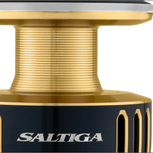 Daiwa 25 Saltiga Reel