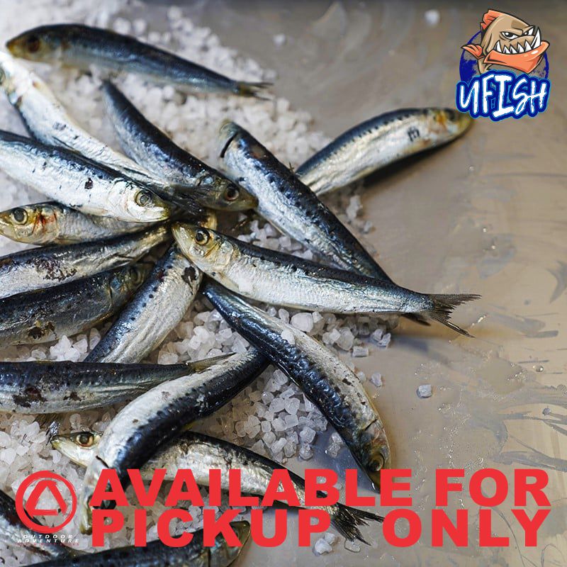 UFISH PREMIUM QUALITY BAIT