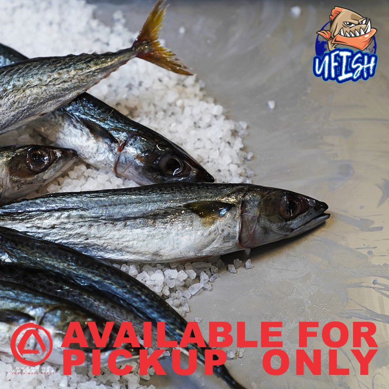 UFISH PREMIUM QUALITY BAIT