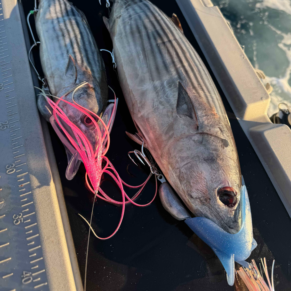 Lure Us In Reaper Rig X-Large - Bare Rig