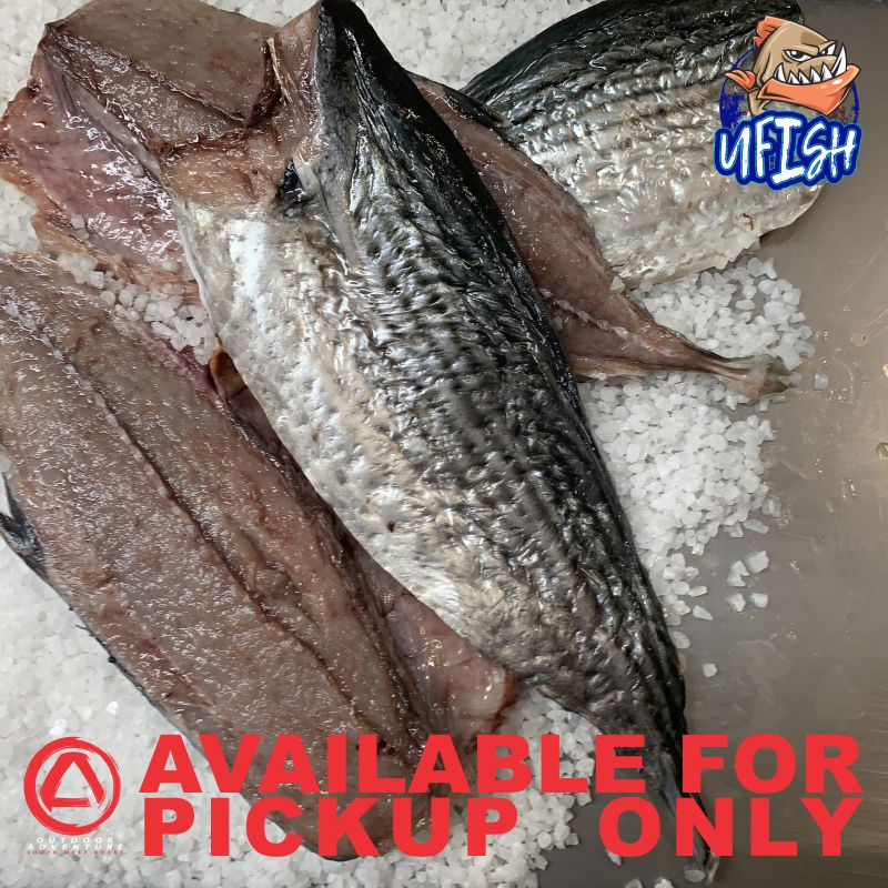 UFISH PREMIUM QUALITY BAIT