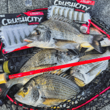 13 Fishing Code Red Rod