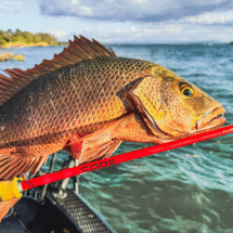 13 Fishing Code Red Rod