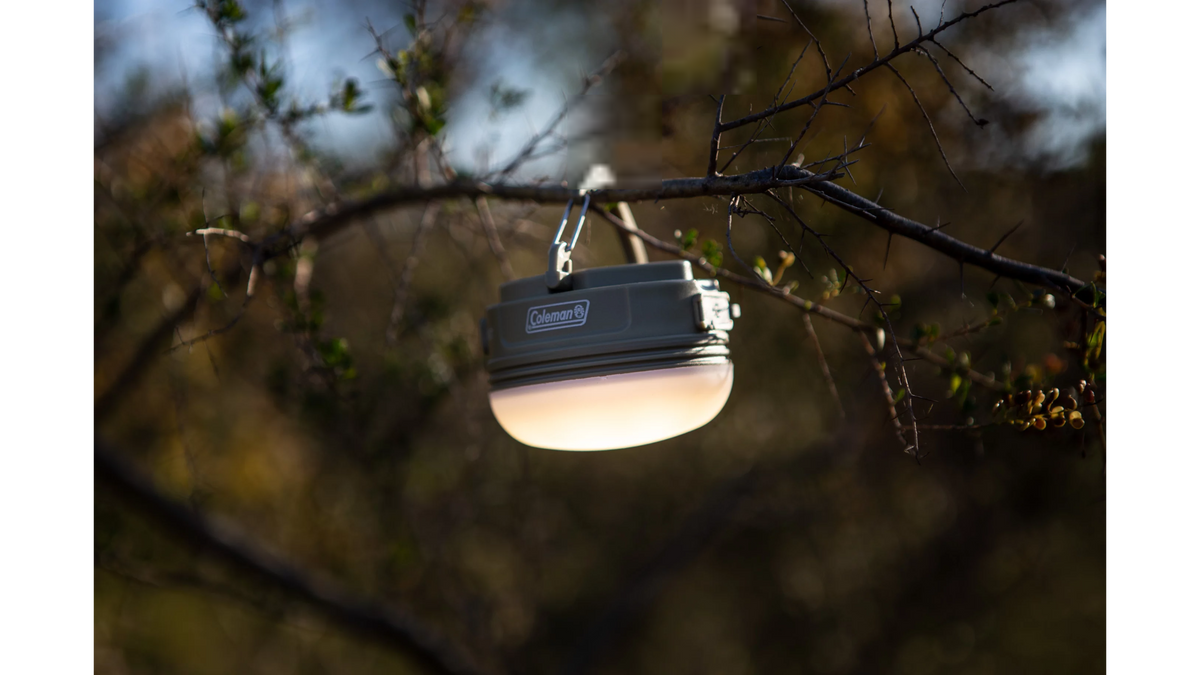 Coleman Swagger Rechargeable Lithium Ion Lantern 250 Lumens