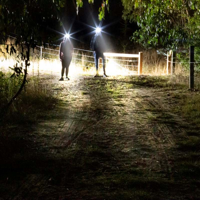 Explore Planet Earth Lenzpro 260 Headlamp