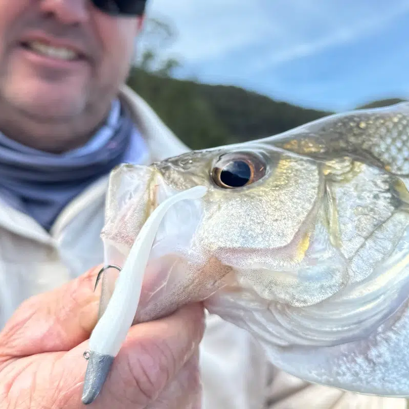 Berkley Gulp! Zagger