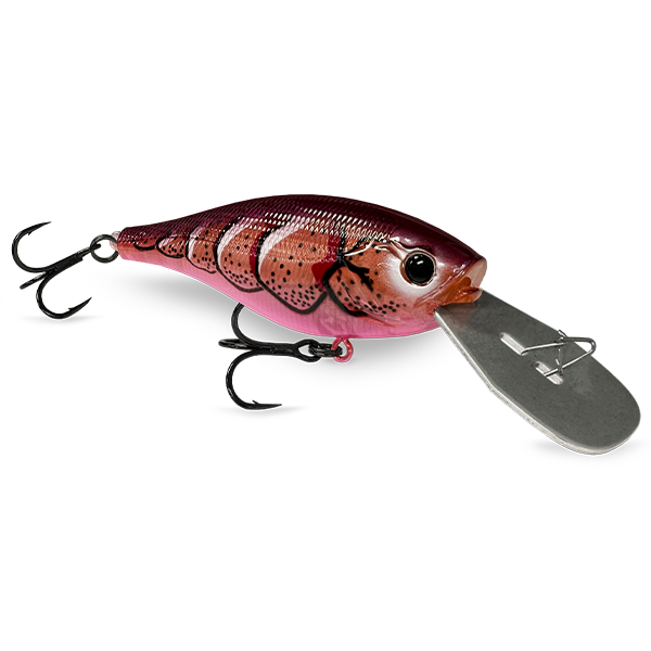 13 Fishing Jabber Shad