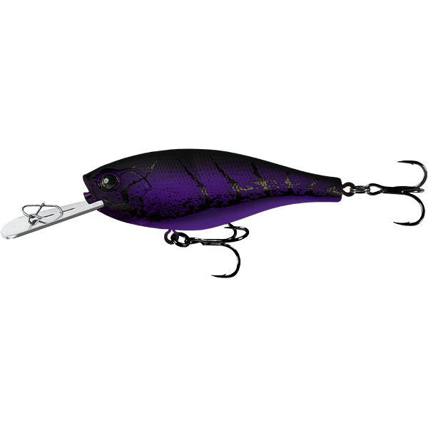 13 Fishing Jabber Shad