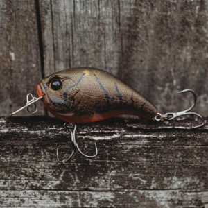 13 Fishing Jabber Jaw