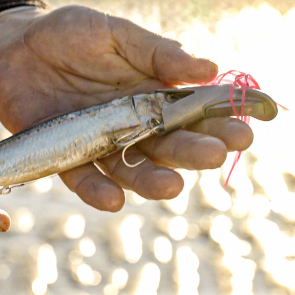 Lure Us In - The Reaper Rig