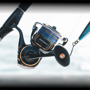 Daiwa 25 Saltiga Reel