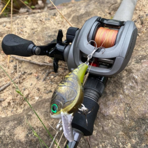 13 Inception G2 Baitcast Reel