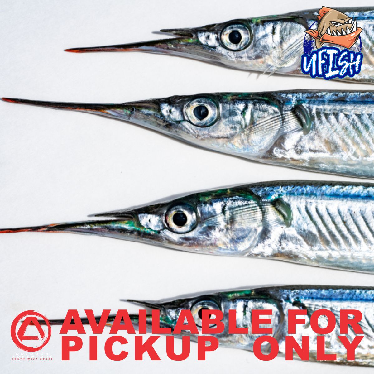 UFISH PREMIUM QUALITY BAIT Outdoor Adventure South West Rocks