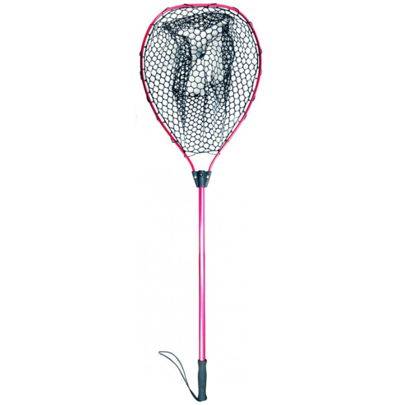 Berkley Catch and Release Net