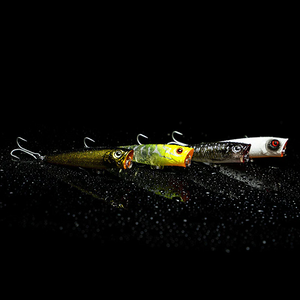 Fishcraft Snoop Pop Lure