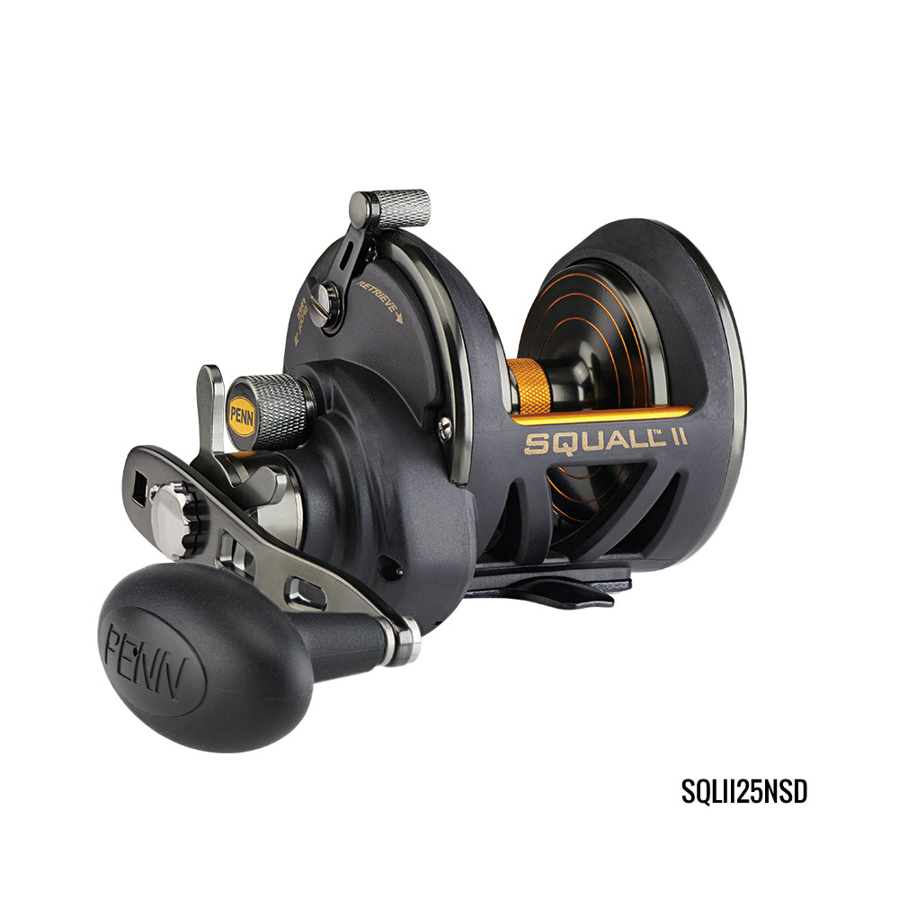 PENN Fathom Lever Drag 2 Speed Overhead Fishing Reel - Outback Adventures  Camping Stores