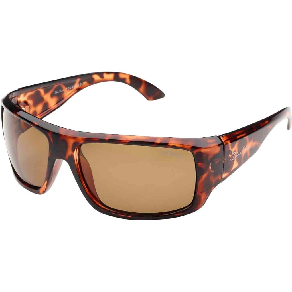 Blue Steel Sunglasses 4186 Sunglasses