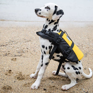 Burke Pet Lifejacket Safety Equipment