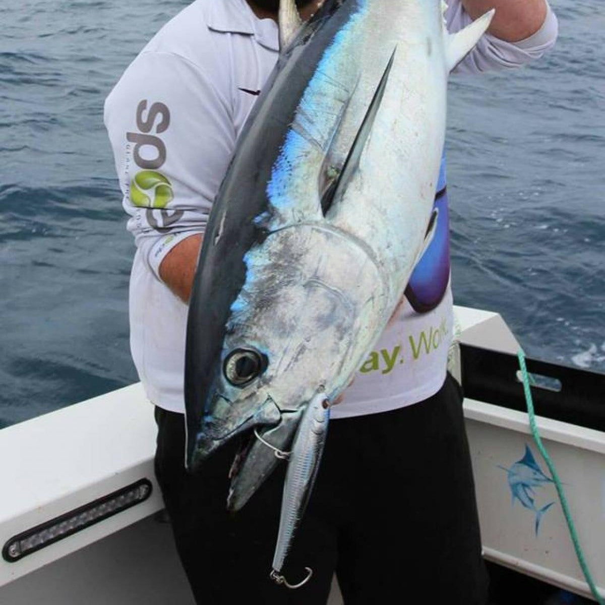 Fish Inc Lures FULLBACK 180MM