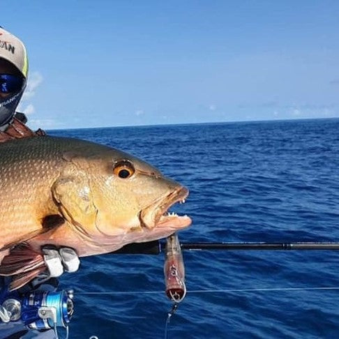 Fish Inc Lures SCRUM HALF 140MM